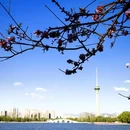 北京旅游 缩略图 5