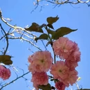 北京旅游 缩略图 9