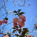 北京旅游 缩略图 7