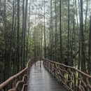 黄山旅游 缩略图 4