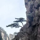 黄山旅游 缩略图 8