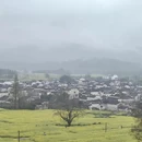 黄山旅游 缩略图 13