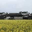 黄山旅游 缩略图 14