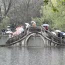 黄山旅游 缩略图 15