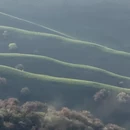 伊犁旅游 缩略图 6