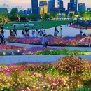 上海旅游 缩略图 17