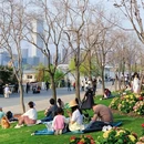 上海旅游 缩略图 13