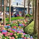 上海旅游 缩略图 16