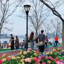 上海旅游 缩略图 15