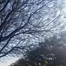 昆明旅游 缩略图 4