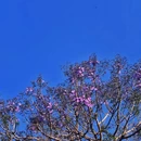 昆明旅游 缩略图 2