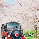 上海旅游 缩略图 1