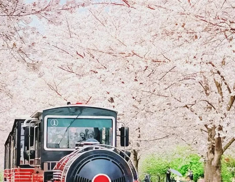 上海旅游 1