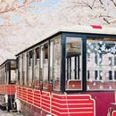 上海旅游 缩略图 3