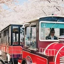 上海旅游 缩略图 2