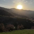 伊犁旅游 缩略图 3
