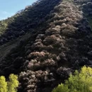 伊犁旅游 缩略图 13