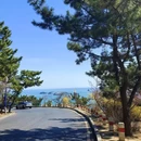 大连旅游 缩略图 5