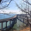 大连旅游 缩略图 6