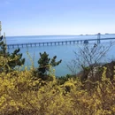 大连旅游 缩略图 10