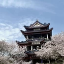 无锡旅游 缩略图 1