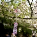 无锡旅游 缩略图 3