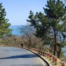 大连旅游 缩略图 15
