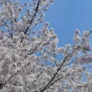 无锡旅游 缩略图 4