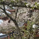 无锡旅游 缩略图 2