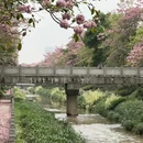 广州旅游 缩略图 2