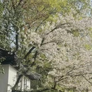 无锡旅游 缩略图 6
