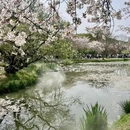 无锡旅游 缩略图 9