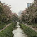 广州旅游 缩略图 6