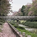 广州旅游 缩略图 11