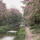 广州旅游 缩略图 10