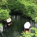 杭州旅游 缩略图 9