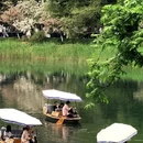 杭州旅游 缩略图 10