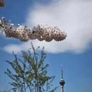 北京旅游 缩略图 1
