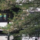 杭州旅游 缩略图 14