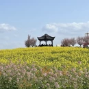 汉中旅游 缩略图 3