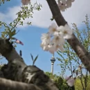 北京旅游 缩略图 6