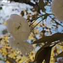 北京旅游 缩略图 2