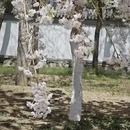 北京旅游 缩略图 7