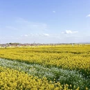 汉中旅游 缩略图 4