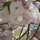 北京旅游 缩略图 3