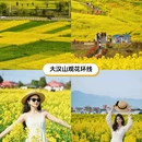 汉中旅游 缩略图 3