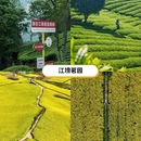 汉中旅游 缩略图 6