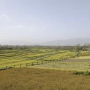 汉中旅游 缩略图 5