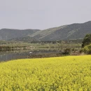 汉中旅游 缩略图 2