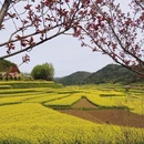 汉中旅游 缩略图 1